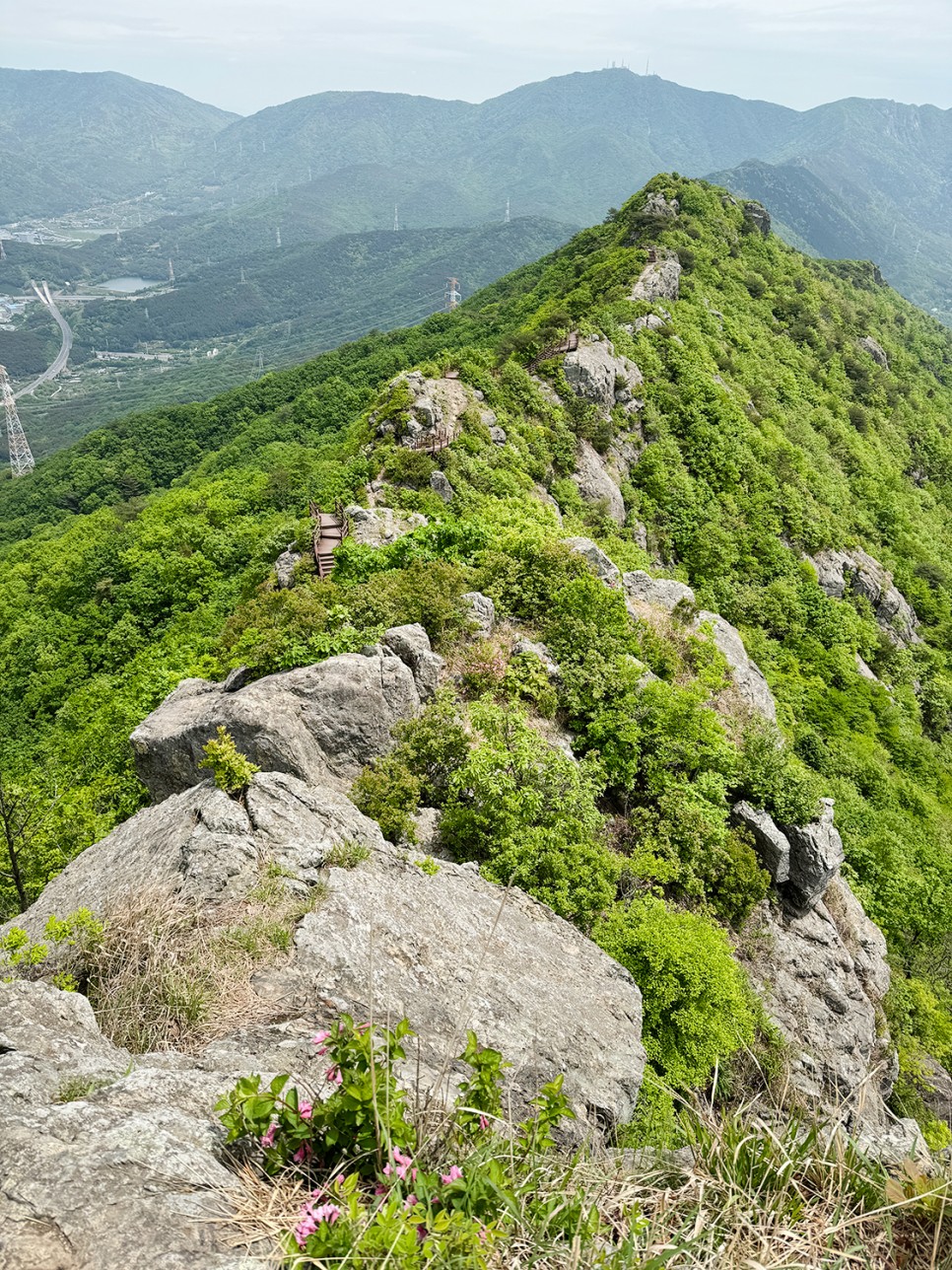 창원 진해 전망 좋은 산, 장복산~덕주봉 능선 산행