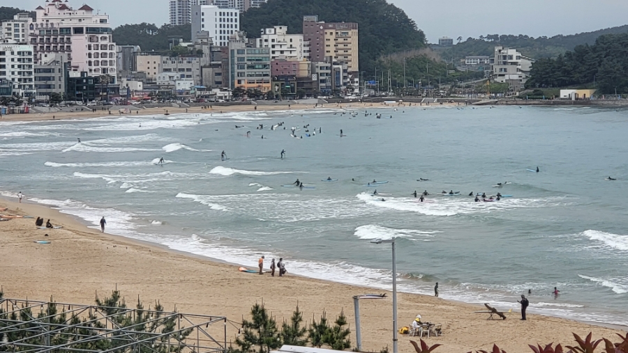 부산여행 마지막날 송정해수욕장 서핑타는 사람들~