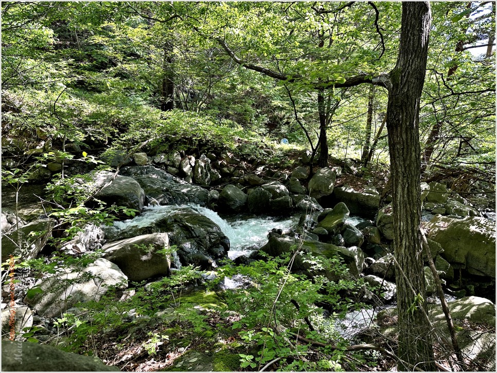 산청 웅석봉 : 어천마을 (웅석계곡) 왕복산행