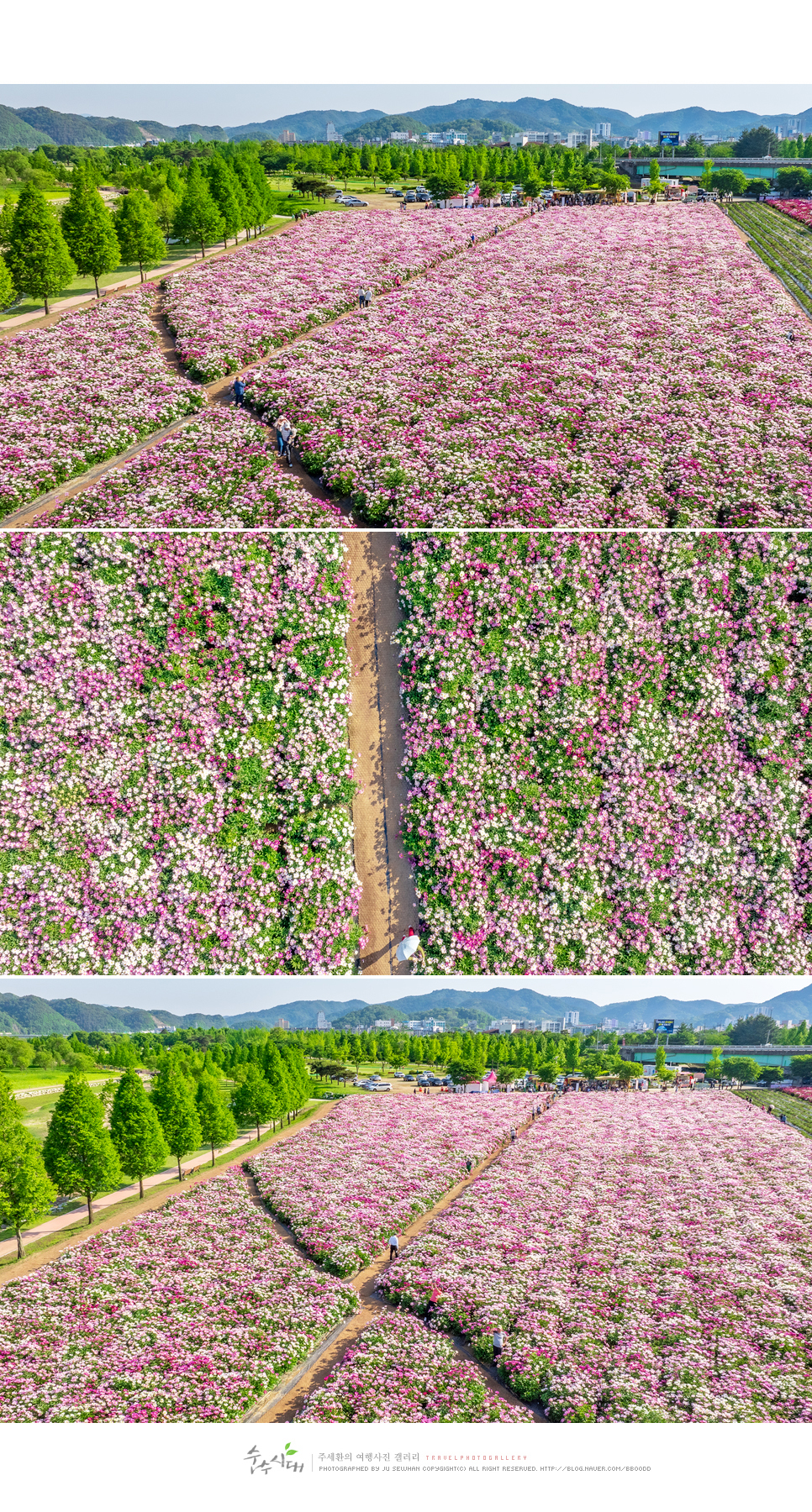 경남 합천 가볼만한곳 부처님오신날 합천 천불천탑 합천작약