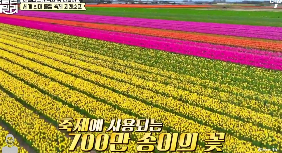 네덜란드 튤립 축제 쾨켄호프 꽃말  위치 예약 유명한 이유 유래 2024 주소 운영시간 전화번호