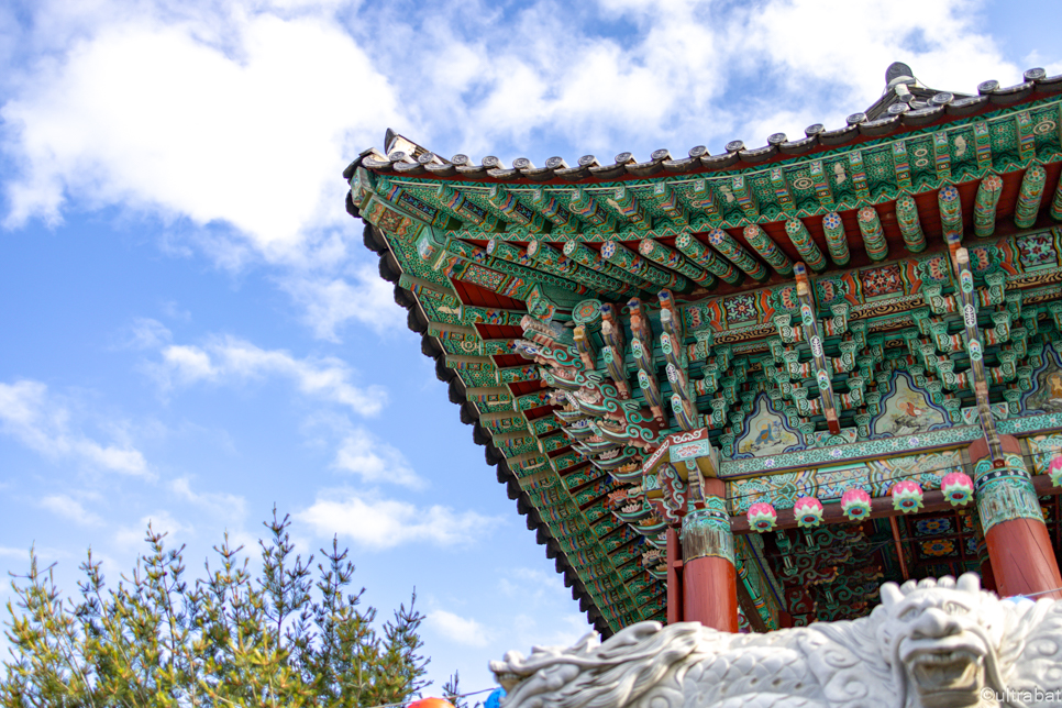 충북 청주 가볼만한곳 청남대 등 볼거리 놀거리 드라이브 청주 여행