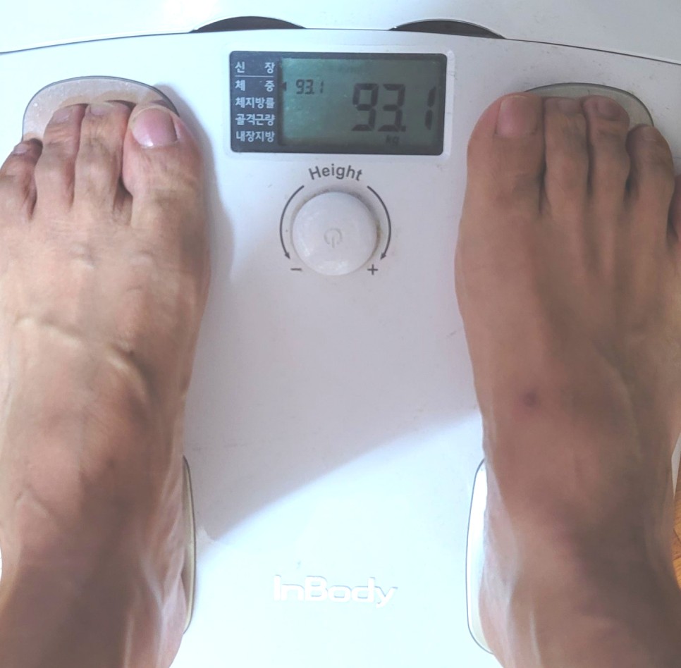 5월 13일 매일런 6일차 와이프와 동반주 10k 성내천 러닝 - 인바디 체중 93.1kg