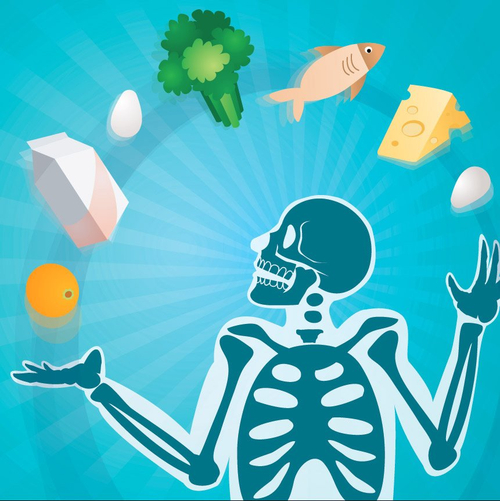 뼈 건강과 뼈골절에 도움이 되는 음식과 요소