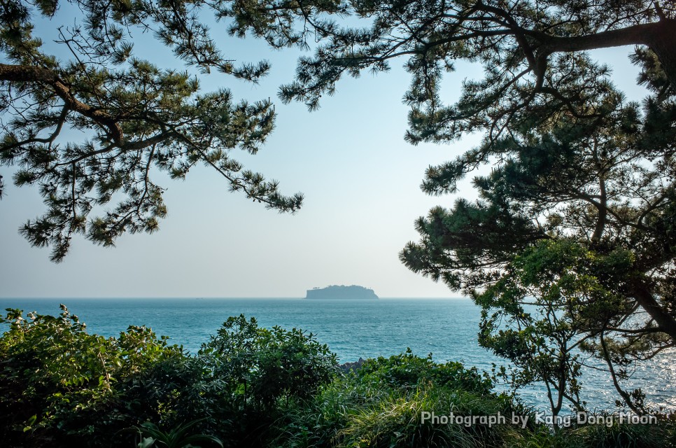 3박4일 제주도 여행 제주도 서귀포 가볼만한곳 5월 서귀포 여행 코스 제주 외돌개