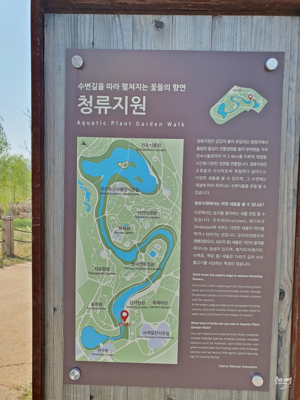 대전근교 여행 나들이 세종시 가볼만한곳 국립세종수목원 데이트