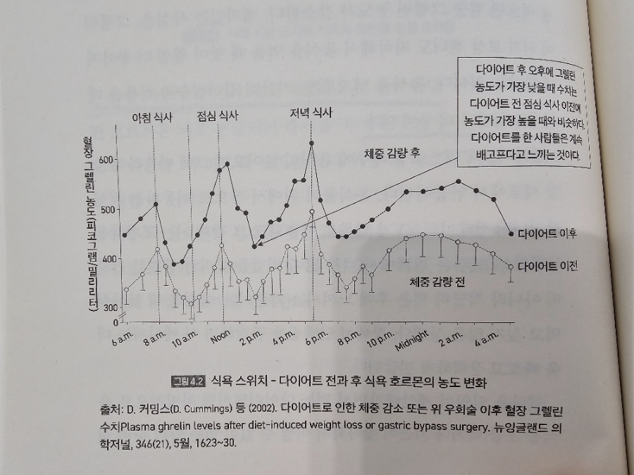 다이어트 식욕 조절, 그렐린과 펩타이드 YY 호르몬의 역할