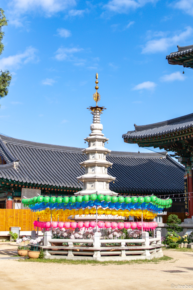 충북 청주 가볼만한곳 청남대 등 볼거리 놀거리 드라이브 청주 여행