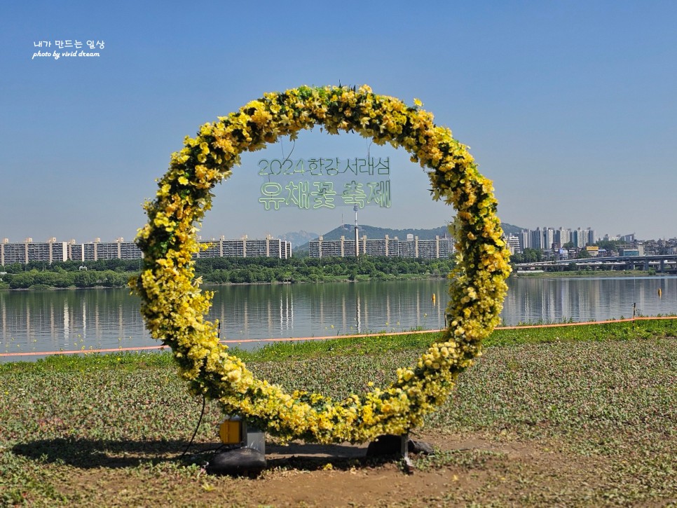 서울 유채꽃 축제 한강 반포지구 반포한강공원 서래섬