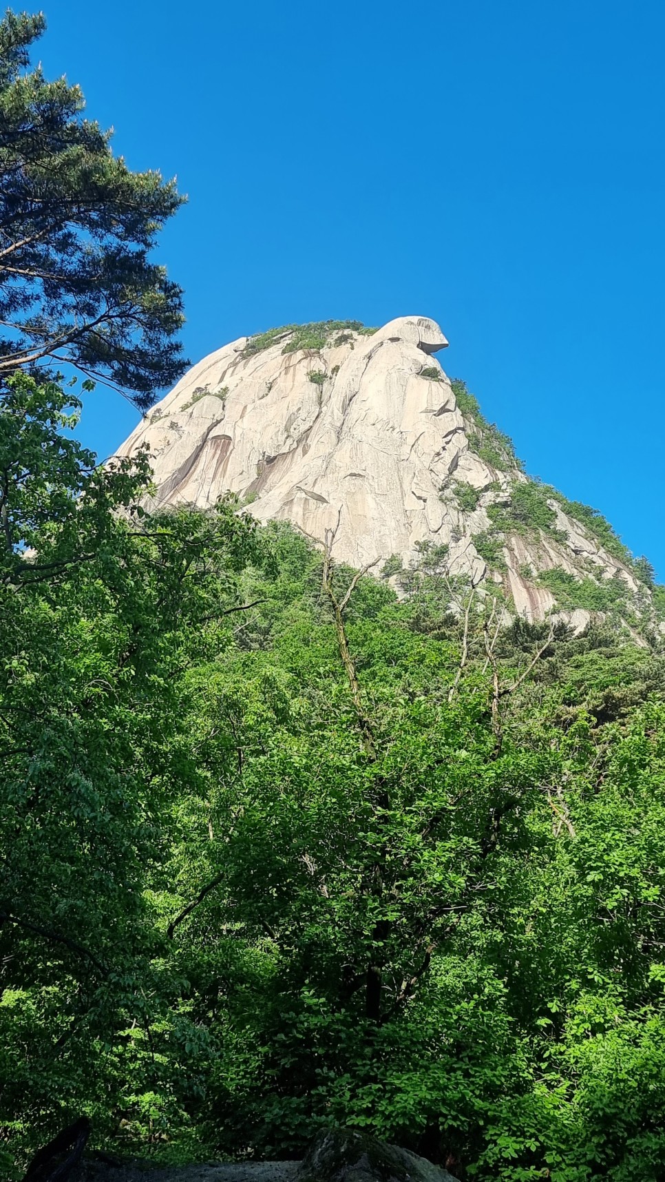 북한산 등산, 좋은 사람들과 함께 인수봉 산천지길 등반