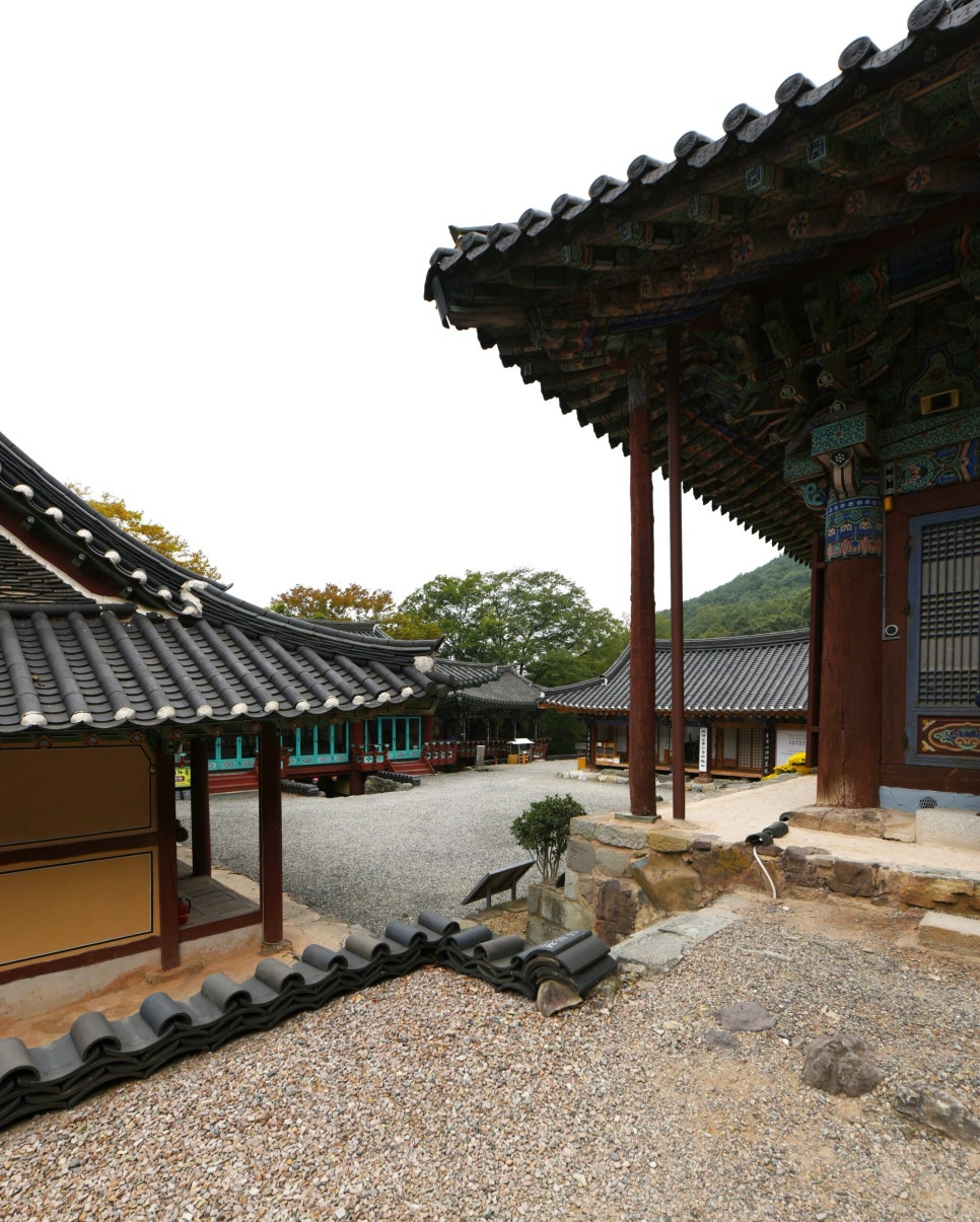 진주 월아산 청곡사 - 청학이 골라준 명당