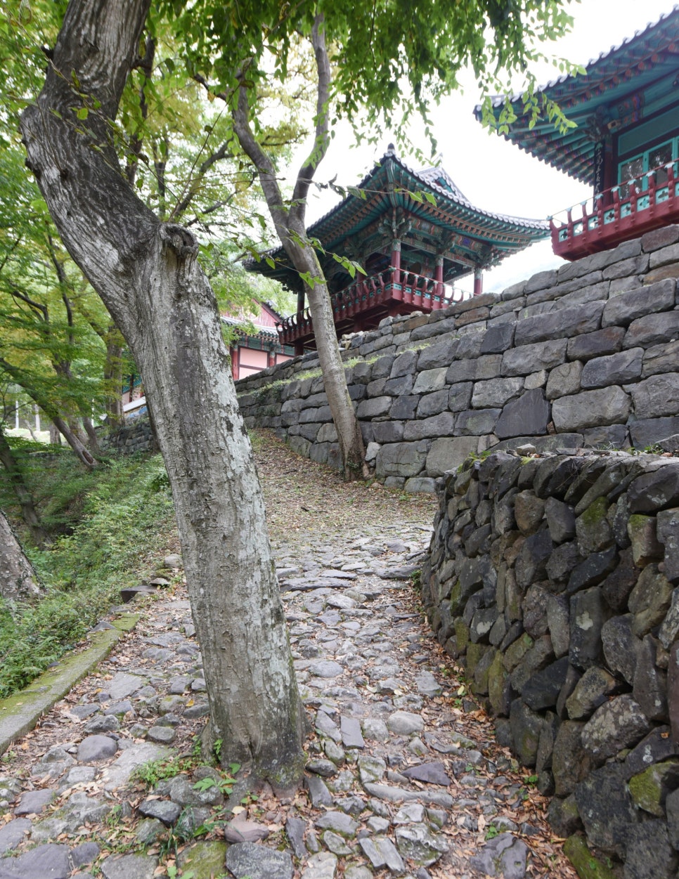 진주 월아산 청곡사 - 청학이 골라준 명당