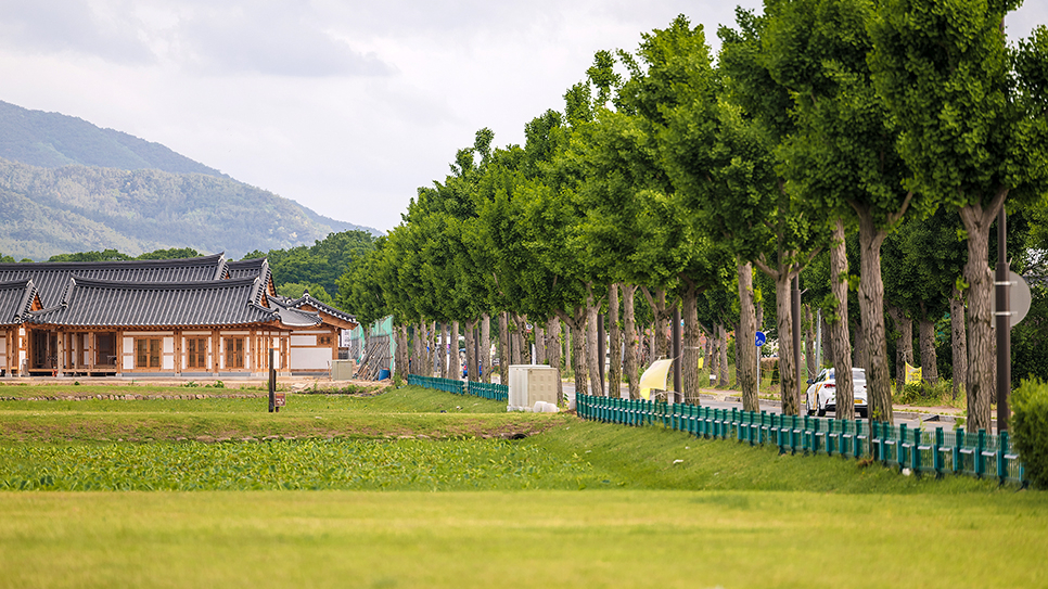 경주 당일치기 여행 코스 추천 BEST5 (첨성대, 동궁과월지 외)