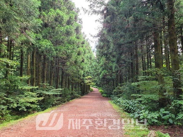 숲길, 치유의 숲 등 산림복지시설 특성 따라 이용객 선호도 달라
