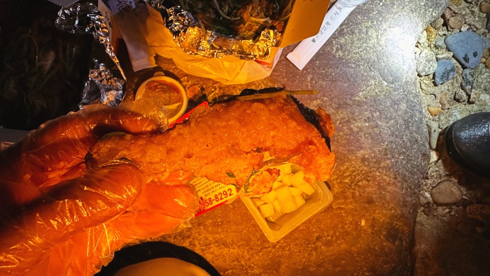 야간 루어 낚시 치킨 회식 그리고 메기목 동자개과 대농갱이