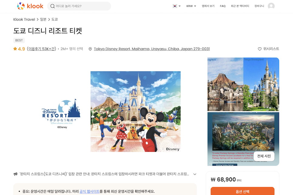 도쿄 디즈니랜드 티켓 패스 예약 dpa 입장권 놀이기구 퍼레이드시간