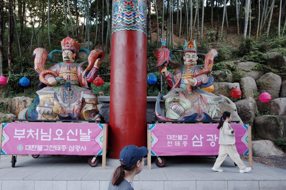 부처님 오신 날, 부산 삼광사에 연등보러 가자