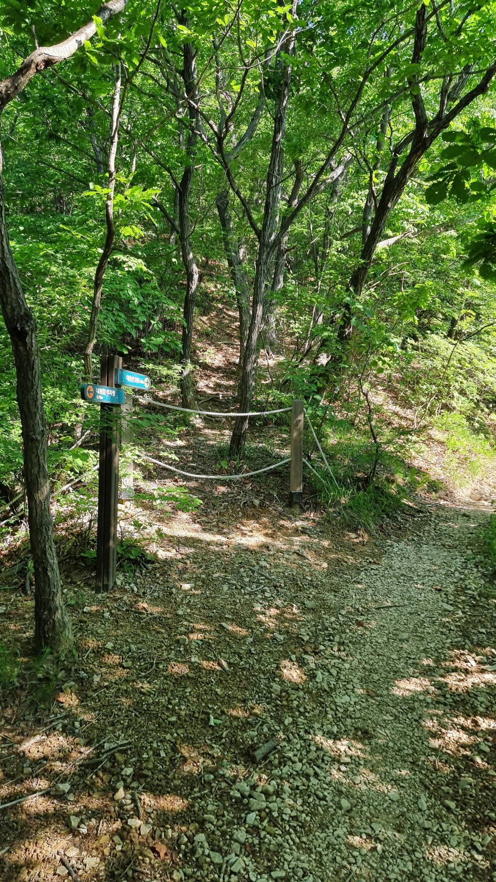 대운산 등산, 제3공용주차장 원점회귀 코스 산행 (내원암 ~ 제2봉 ~ 대운산 ~ 울산수목원)