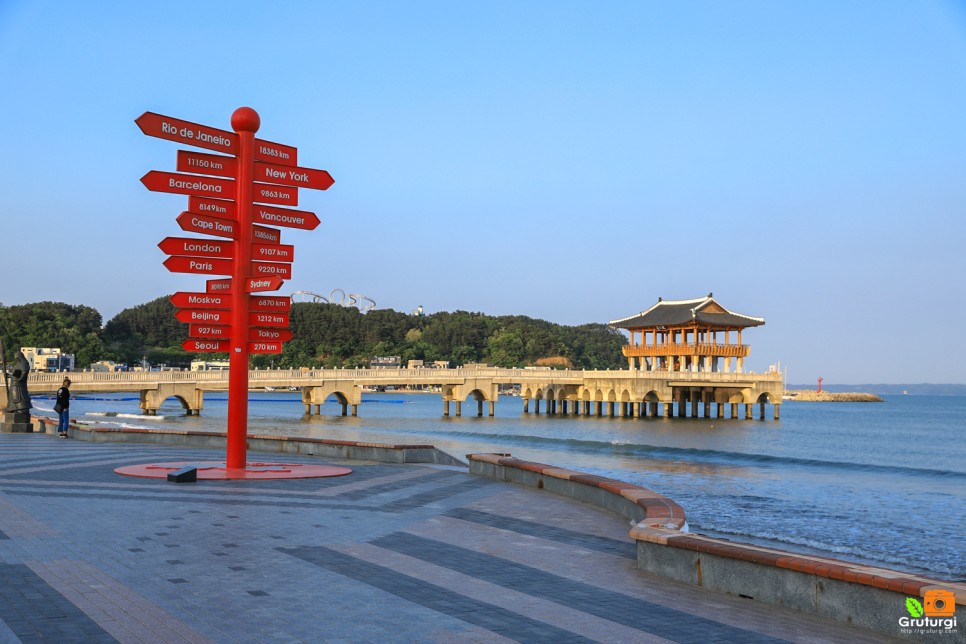 포항 영일대해수욕장 볼거리 장미 명소 포항 영일대 장미원