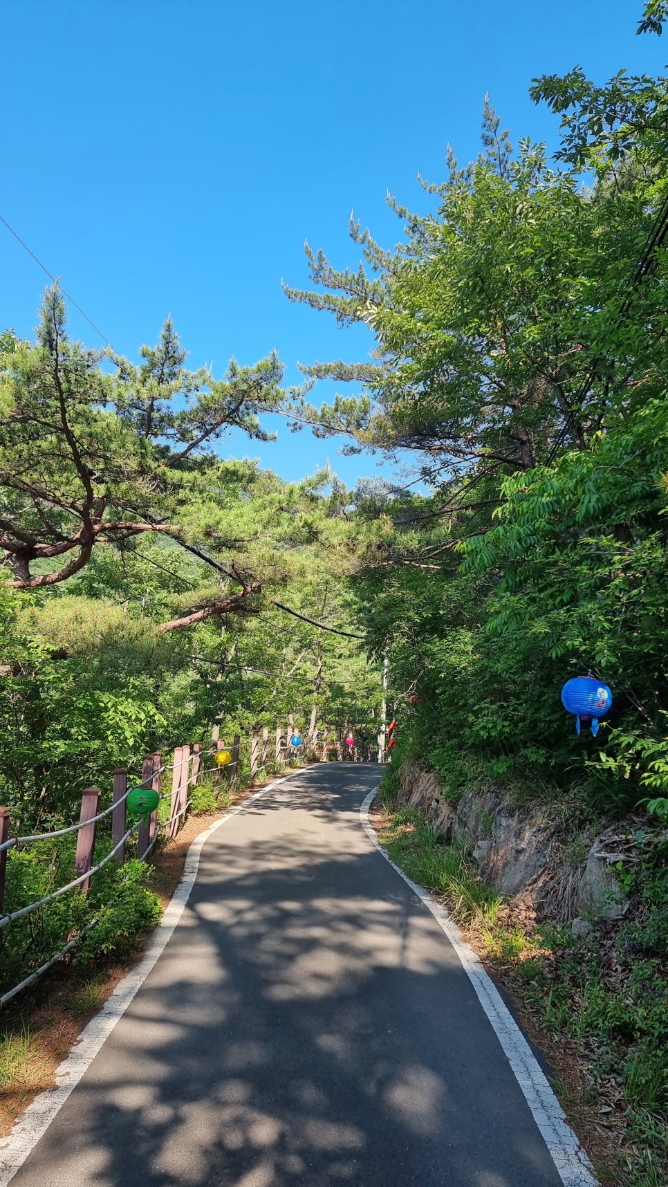 대운산 등산, 제3공용주차장 원점회귀 코스 산행 (내원암 ~ 제2봉 ~ 대운산 ~ 울산수목원)