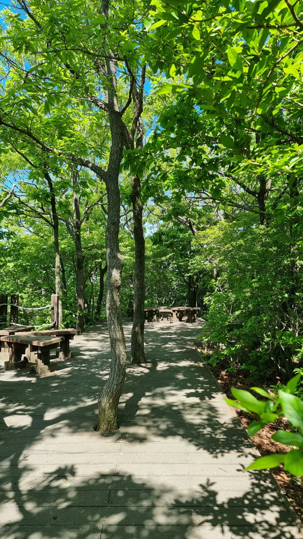 대운산 등산, 제3공용주차장 원점회귀 코스 산행 (내원암 ~ 제2봉 ~ 대운산 ~ 울산수목원)