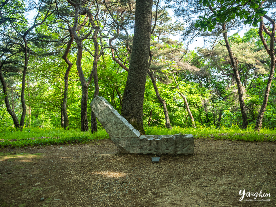 5월 여행지 추천 충청도 여행지 데이트 충주 탄금대