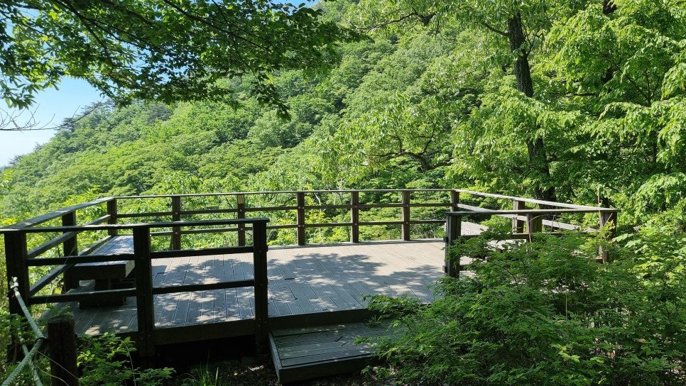 대운산 등산, 제3공용주차장 원점회귀 코스 산행 (내원암 ~ 제2봉 ~ 대운산 ~ 울산수목원)