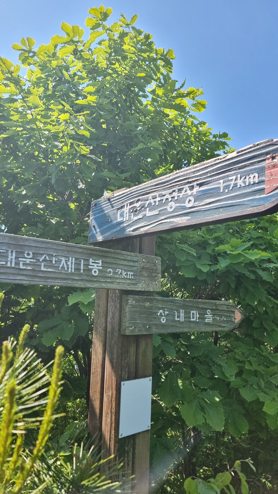 대운산 등산, 제3공용주차장 원점회귀 코스 산행 (내원암 ~ 제2봉 ~ 대운산 ~ 울산수목원)