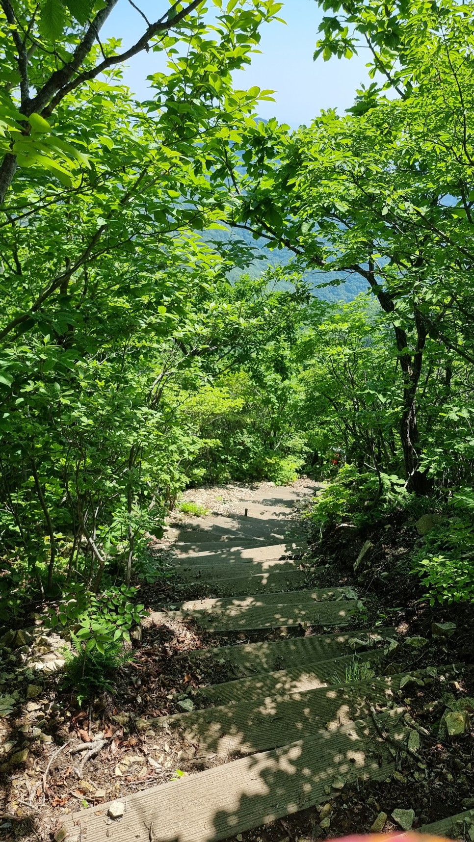 대운산 등산, 제3공용주차장 원점회귀 코스 산행 (내원암 ~ 제2봉 ~ 대운산 ~ 울산수목원)