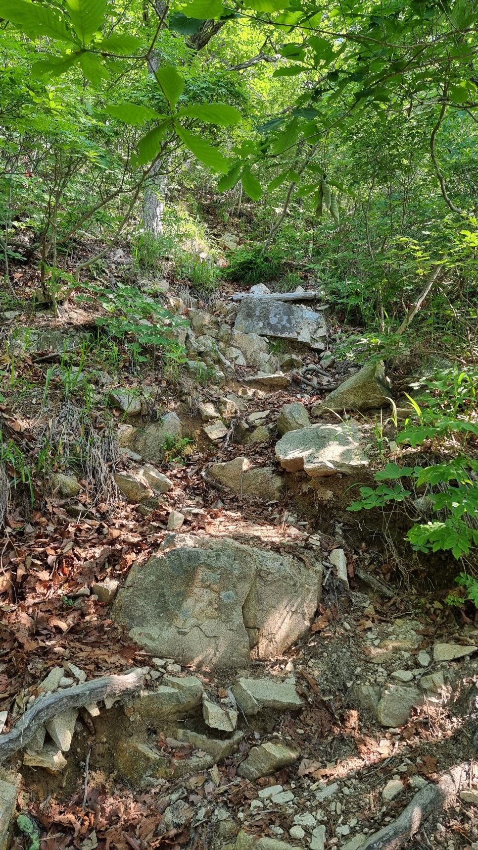 대운산 등산, 제3공용주차장 원점회귀 코스 산행 (내원암 ~ 제2봉 ~ 대운산 ~ 울산수목원)