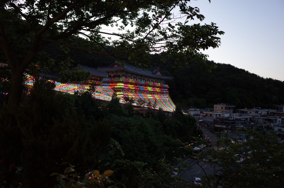 부처님 오신 날, 부산 삼광사에 연등보러 가자