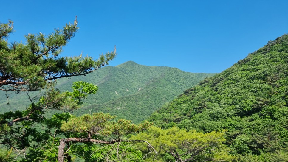 대운산 등산, 제3공용주차장 원점회귀 코스 산행 (내원암 ~ 제2봉 ~ 대운산 ~ 울산수목원)