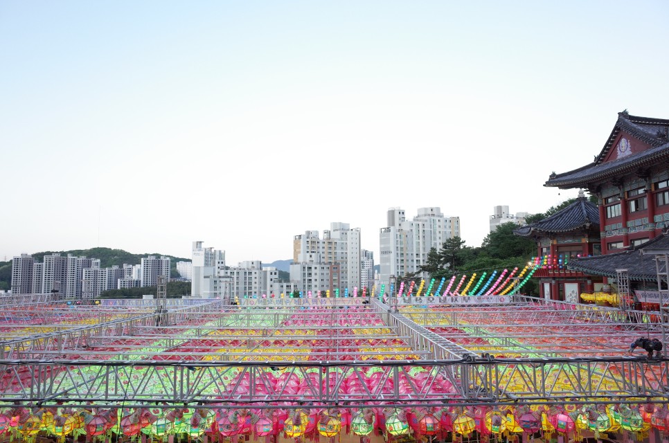 부처님 오신 날, 부산 삼광사에 연등보러 가자