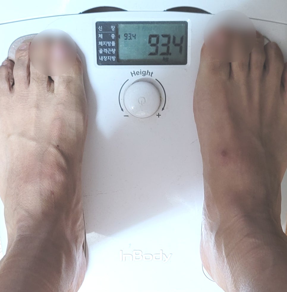 블랙야크 100대명산 18번째 천마산 트레일러닝 - 노스페이스 알타메사500 오늘도 93.4kg