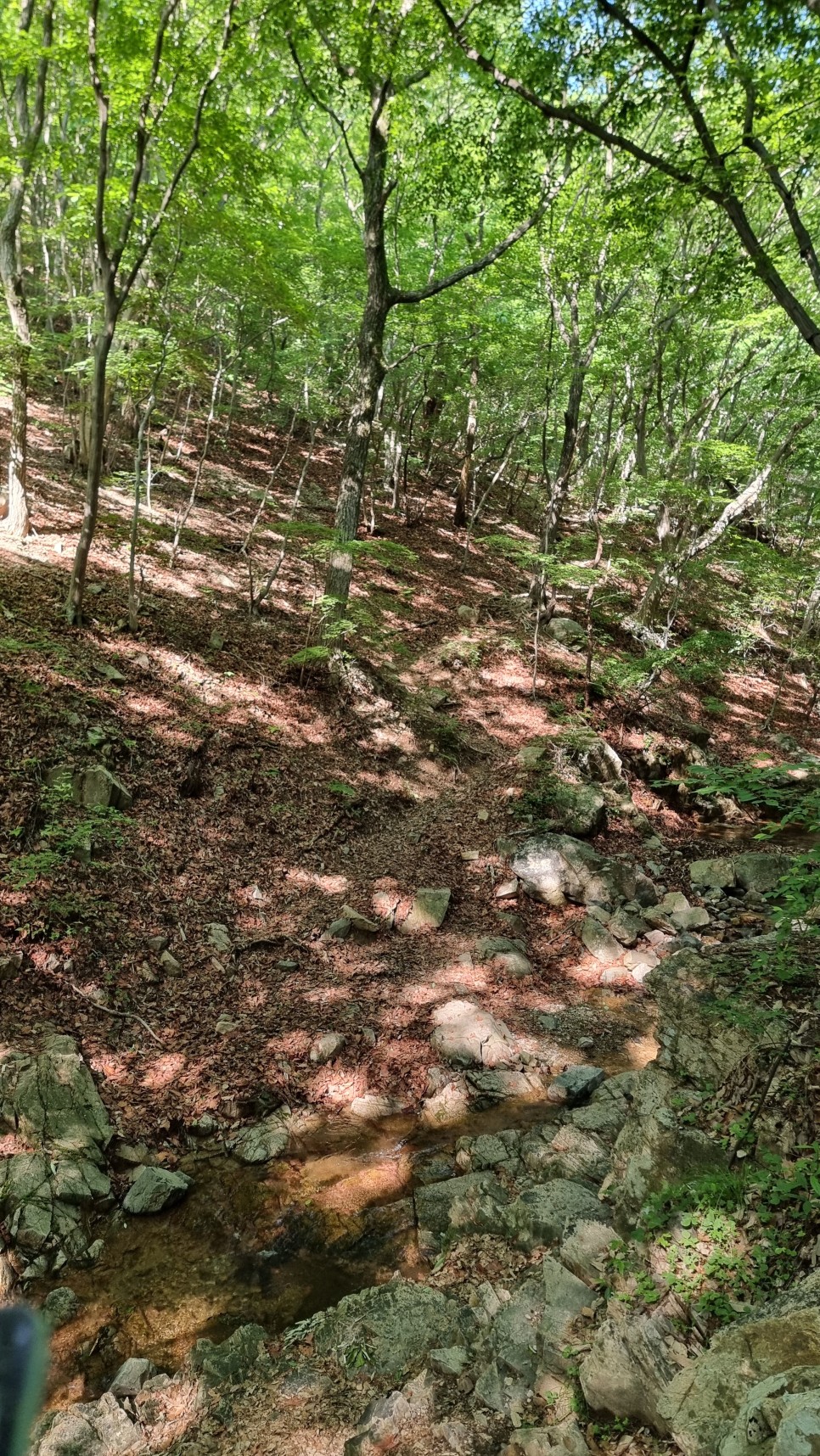 대운산 등산, 제3공용주차장 원점회귀 코스 산행 (내원암 ~ 제2봉 ~ 대운산 ~ 울산수목원)