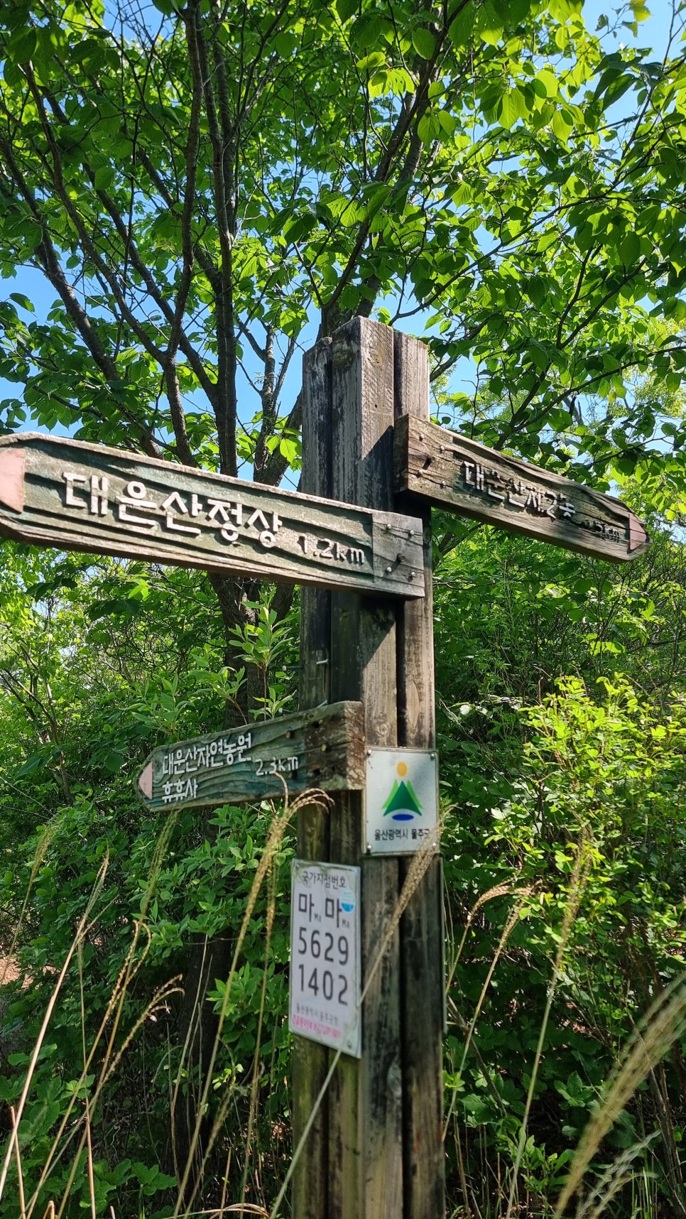 대운산 등산, 제3공용주차장 원점회귀 코스 산행 (내원암 ~ 제2봉 ~ 대운산 ~ 울산수목원)