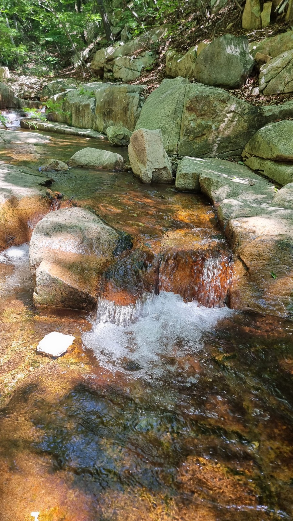 대운산 등산, 제3공용주차장 원점회귀 코스 산행 (내원암 ~ 제2봉 ~ 대운산 ~ 울산수목원)