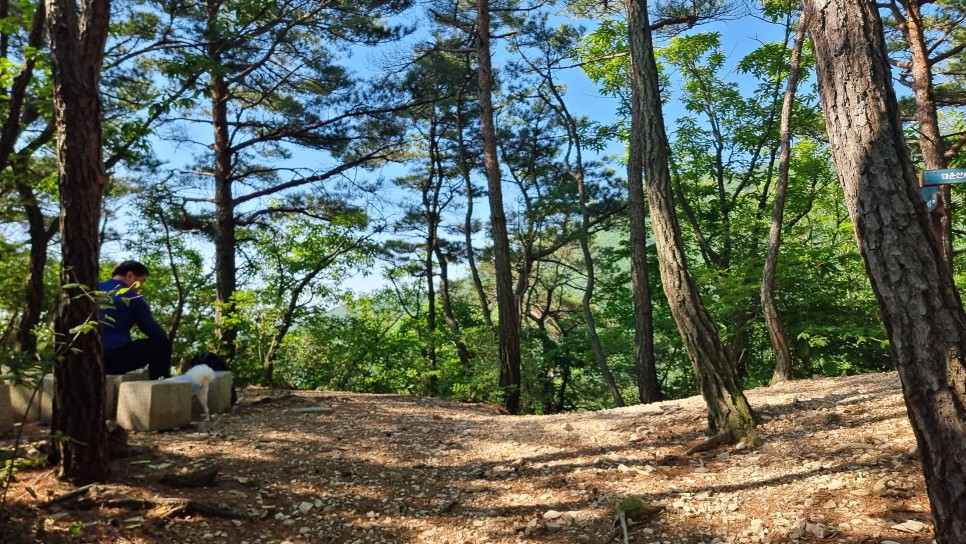 대운산 등산, 제3공용주차장 원점회귀 코스 산행 (내원암 ~ 제2봉 ~ 대운산 ~ 울산수목원)