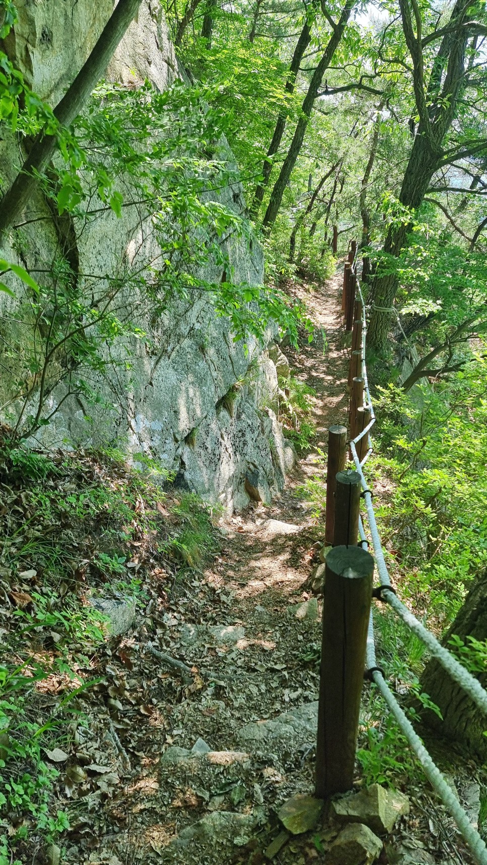 대운산 등산, 제3공용주차장 원점회귀 코스 산행 (내원암 ~ 제2봉 ~ 대운산 ~ 울산수목원)