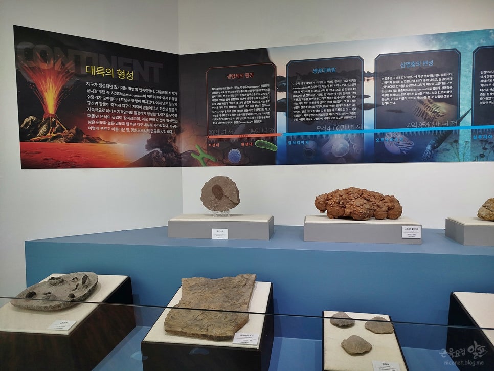 신안 안좌도 폐교의 변신! 세계 화석 광물박물관