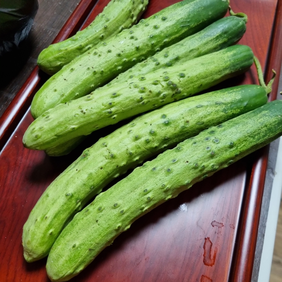 식단조절 다이어트 부종에 좋은 오이 효능 챙겨보세요! 이색적인 초간단 오이무침 오이샐러드 레시피