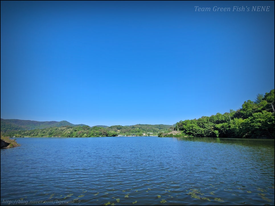 24.05.15 - 경북 영천 북안면 도유지 (영천권 저수지 배스 루어낚시 포인트 탐사. 벌써 여름 패턴?)