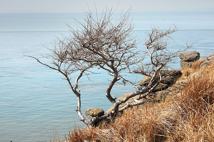 인천바다 추천 서해섬 굴업도 개머리언덕 섬여행 걷기 좋은 길