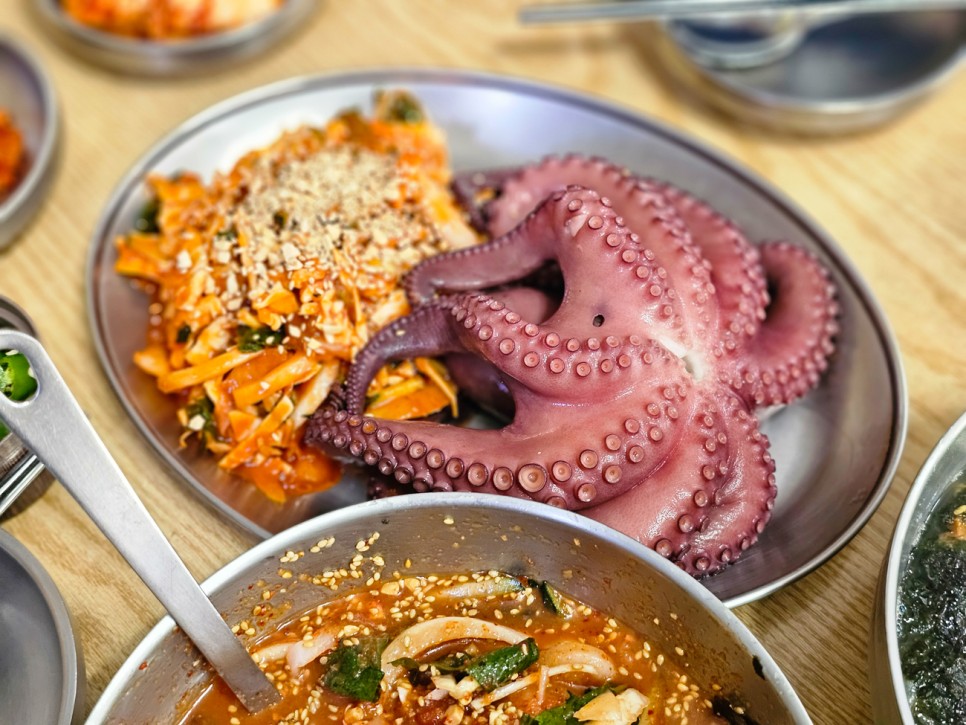 제주 한림 맛집 협재칼국수 제주도 물회 보말죽이 일품