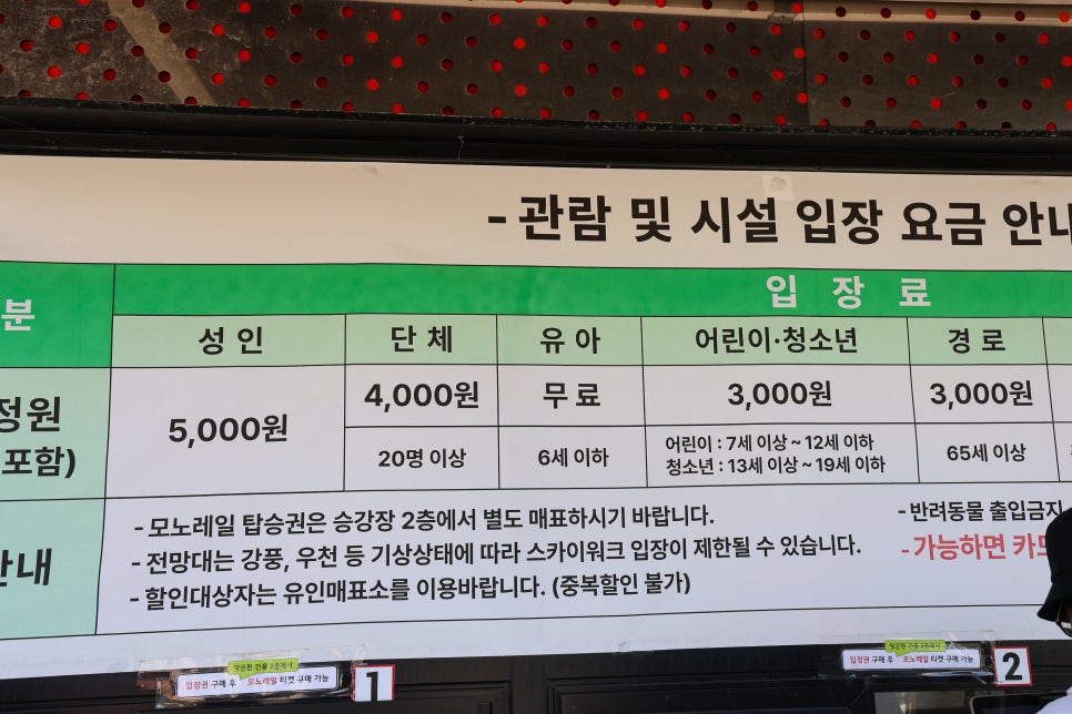 인천 가볼만한곳 강화도 화개정원 강화 교동도 5월 14일