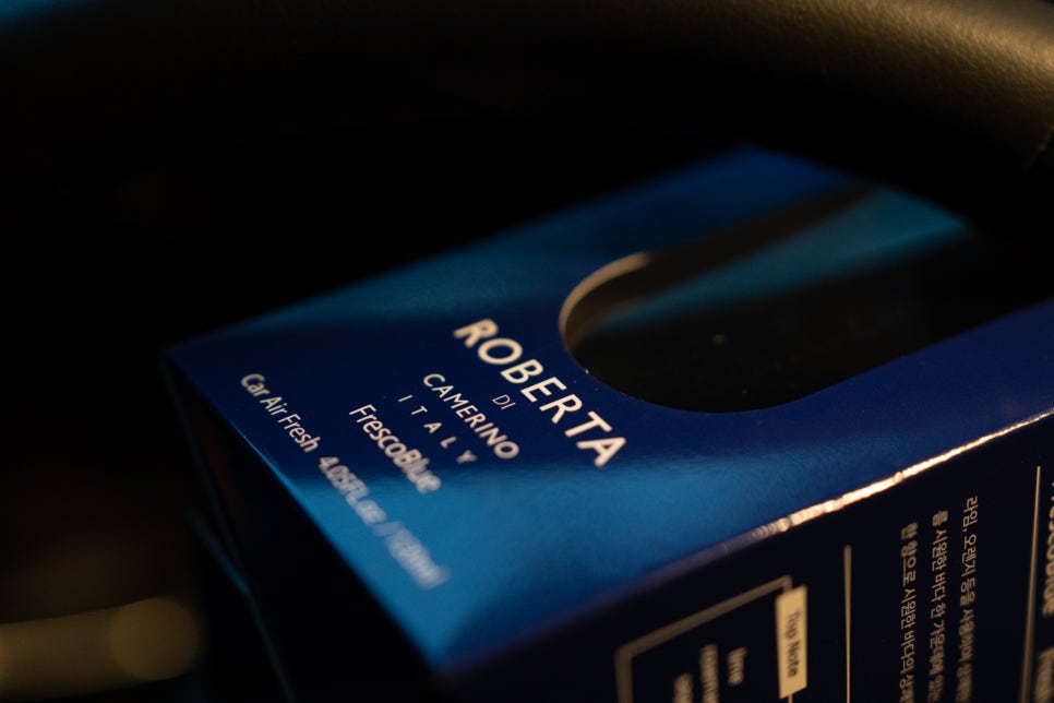 로베르타 차량용디퓨저 - 파란색 트레일블레이저에 어울리는 프레스코블루