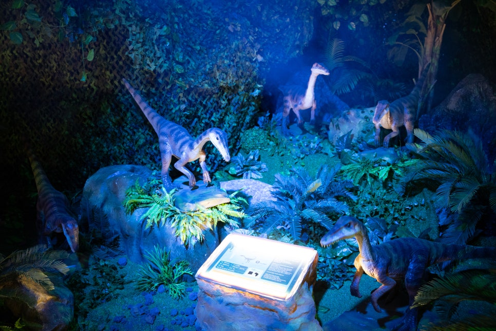 다이노스 얼라이브 - 어마무시한 크기의 공룡들을 만나보자! 주차 ok 유아용 웨건 ok