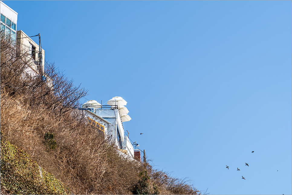 부산 영도 흰여울 문화마을, 부산 산책로 갈만한곳 영도흰여울길