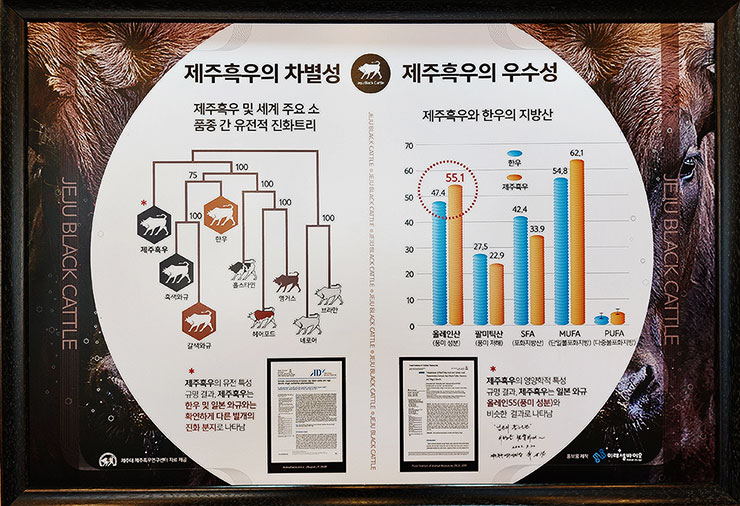 제주공항근처 맛집 제주흑우 제주도 맛집 추천