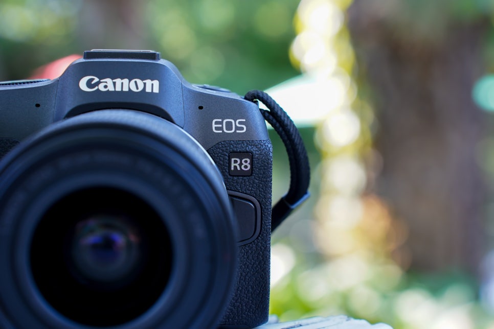 단 한 장의 사진이 모든 것을 말해준다 풀프레임 미러리스 카메라 캐논 EOS R8 체험기